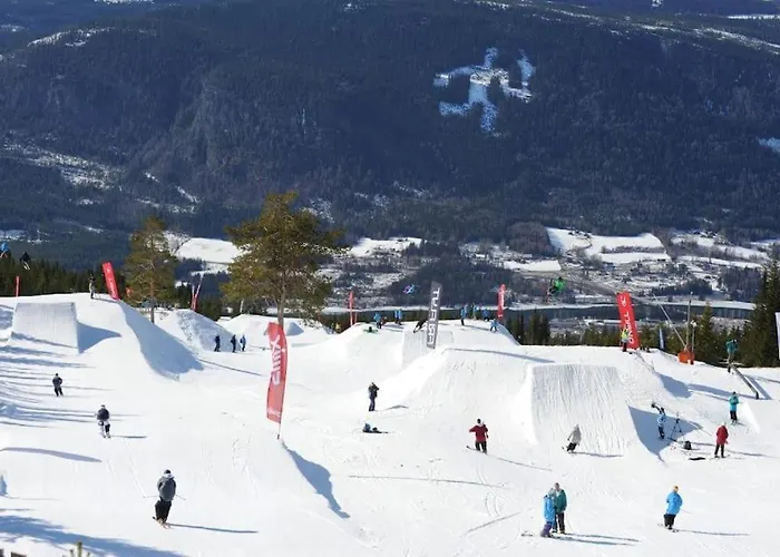 Leilighet Med Panoramautsikt Sjusjoen Innendors Parkering